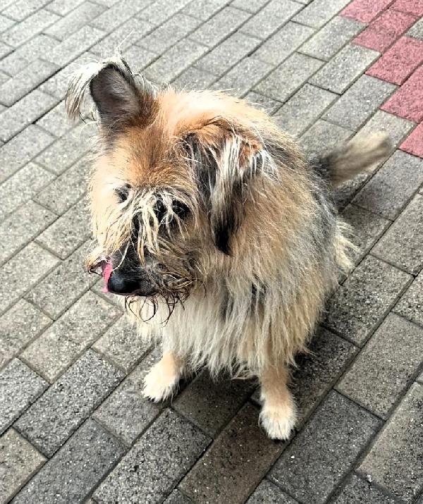 SPANK PASTORE BRIE Foto 7